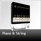 Piano & String