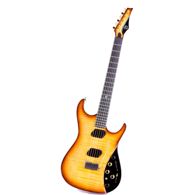 Lees meer... : Moog Elektrische Gitaar Paul Vo Collector Edition Tobacco Burst