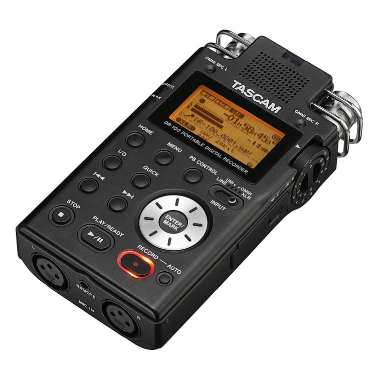 Tascam Dr 100 Digitale Recorder