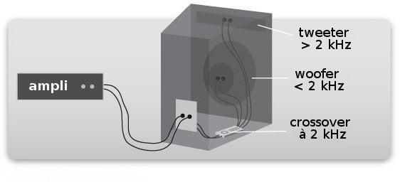 Enceinte satellite passive avec crossover