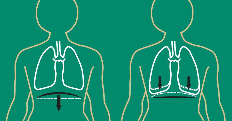 Le soutien de la respiration et le cycle respiratoire en chantant