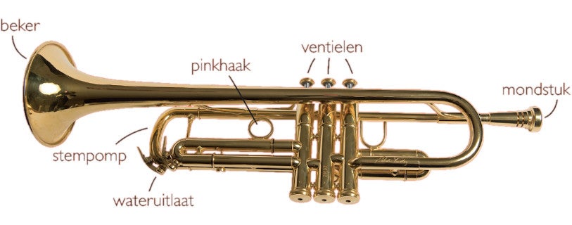 Trompet-delen