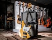 De basgitaar - Geschiedenis, technieken & tips