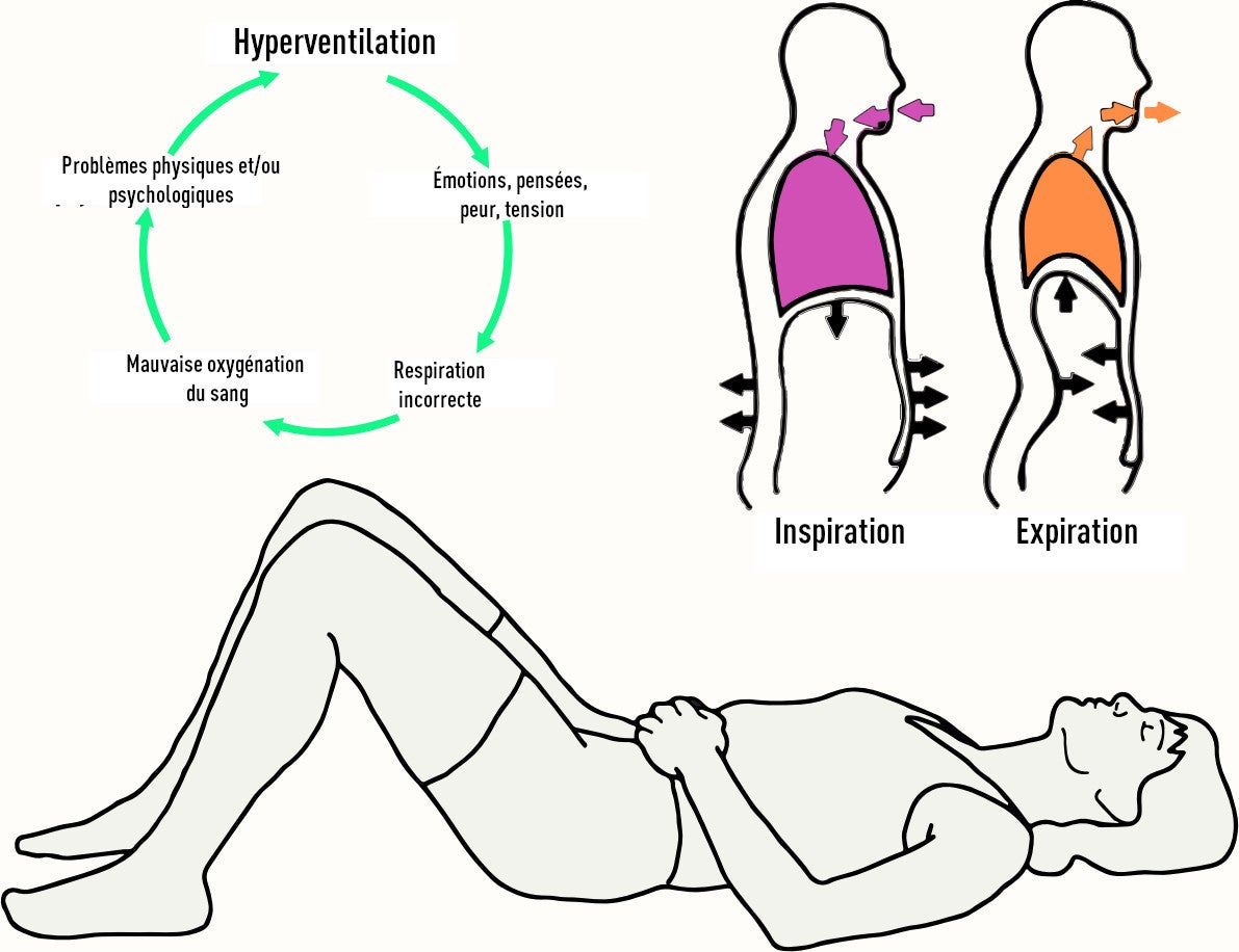 La respiration pour les chanteurs et autres musiciens