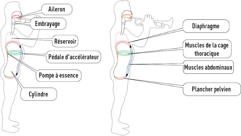 La respiration pour les chanteurs et autres musiciens