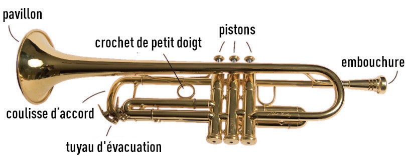 Trompette : types, histoire et technique de jeu
