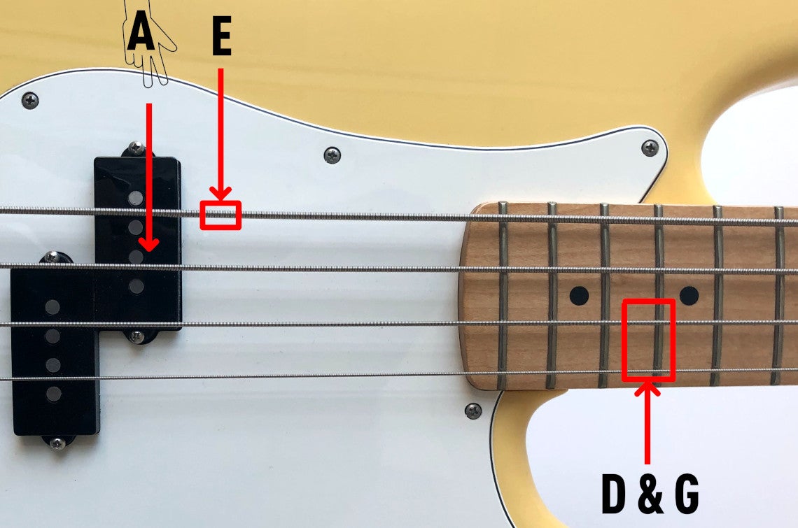 Bass Guitar Technique for Beginners