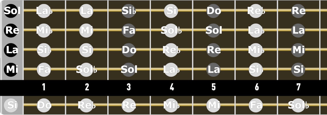 Débuter la basse : Les notes sur sa basse 