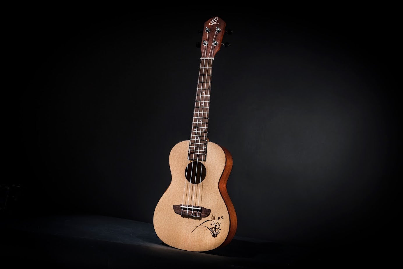 5 muziekinstrumenten die iedereen kan bespelen