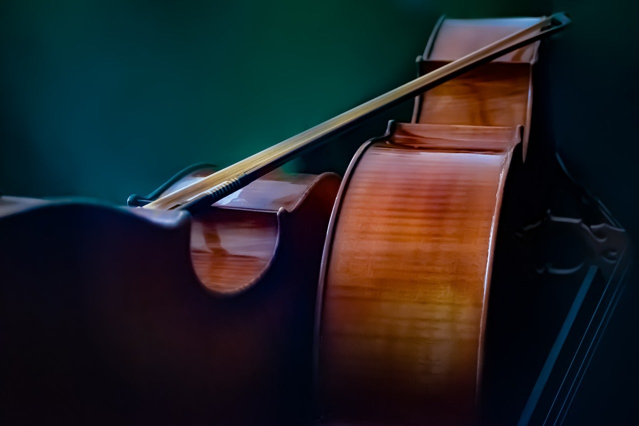 Cello vs. Contrabas - Het verschil tussen deze éénpoters