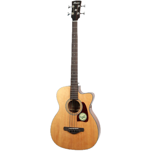 Wat is de beste akoestische basgitaar voor mij?