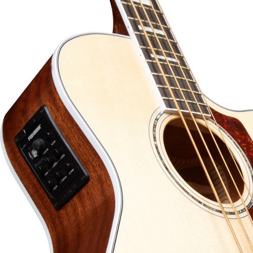 2. Kies ik een akoestische of elektrisch-akoestische basgitaar? 