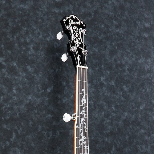 2. Hoeveel snaren heeft een banjo? 2. Hoeveel snaren heeft een banjo?