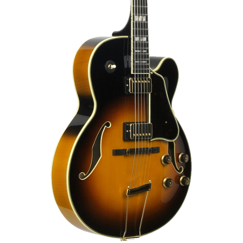 Wat is de beste semi-akoestische gitaar voor mij?