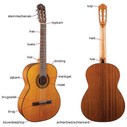 Wat is de beste gitaar voor een kind?